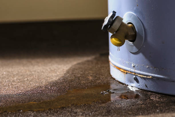 Best Professional water damage repair  in Bealeton, VA