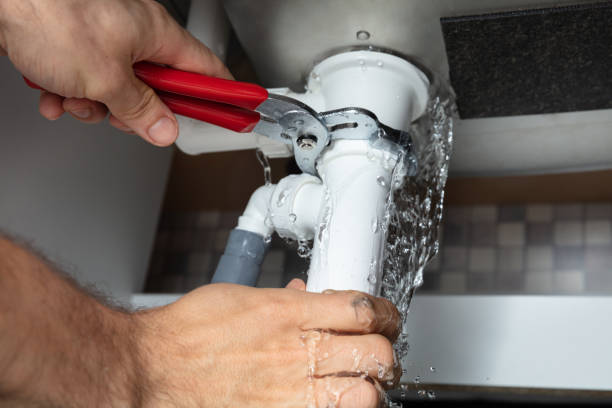 Best Basement water damage restoration  in Bealeton, VA