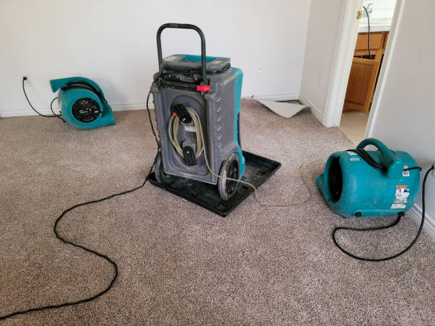 Best Water damage restoration insurance claims  in Bealeton, VA