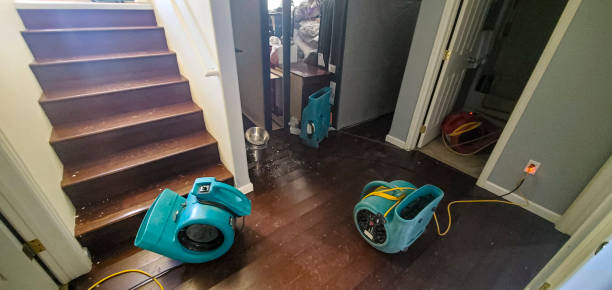 Best Flood damage cleanup  in Bealeton, VA