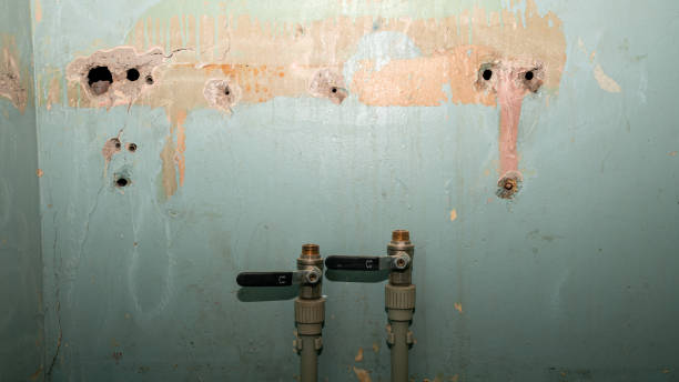Best Commercial water damage restoration  in Bealeton, VA