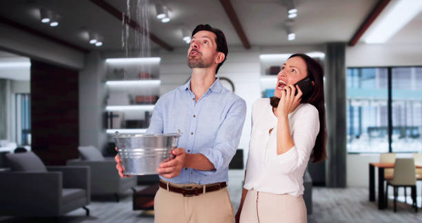  Bealeton, VA Water damage restoration Pros