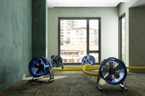 Best Carpet water damage restoration  in Bealeton, VA